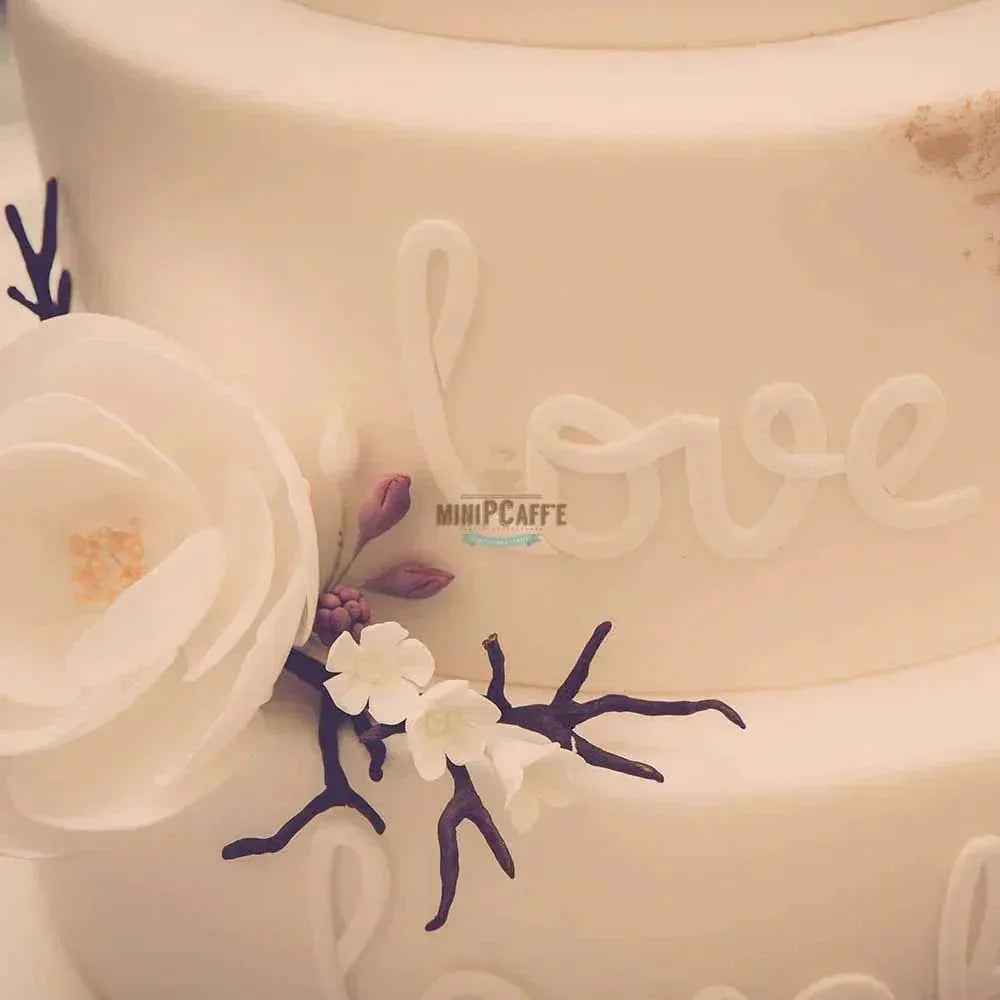 Pastaline Maxi Sfogly NSF آلة فرد العجين - MiniPCaffe.com