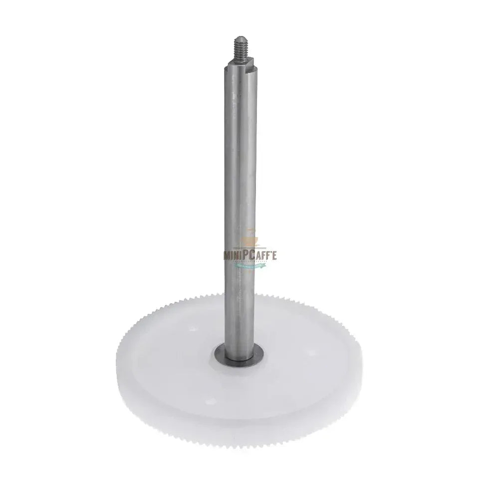 Musso Mini Lussino Gear / Shaft Replacement - MiniPCaffe.com